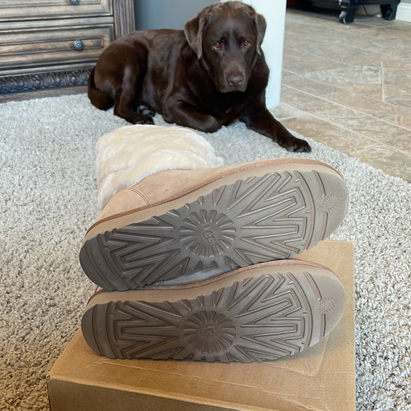 UGG Tania.   Size 7 Womens boots. - Picture 8 of 10